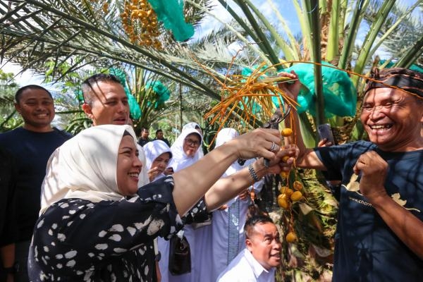  Didatangi Wisatawan dari Luar Indonesia, Pohon Kurma di Karo Berikan Dampak Ekonomi untuk Sumut